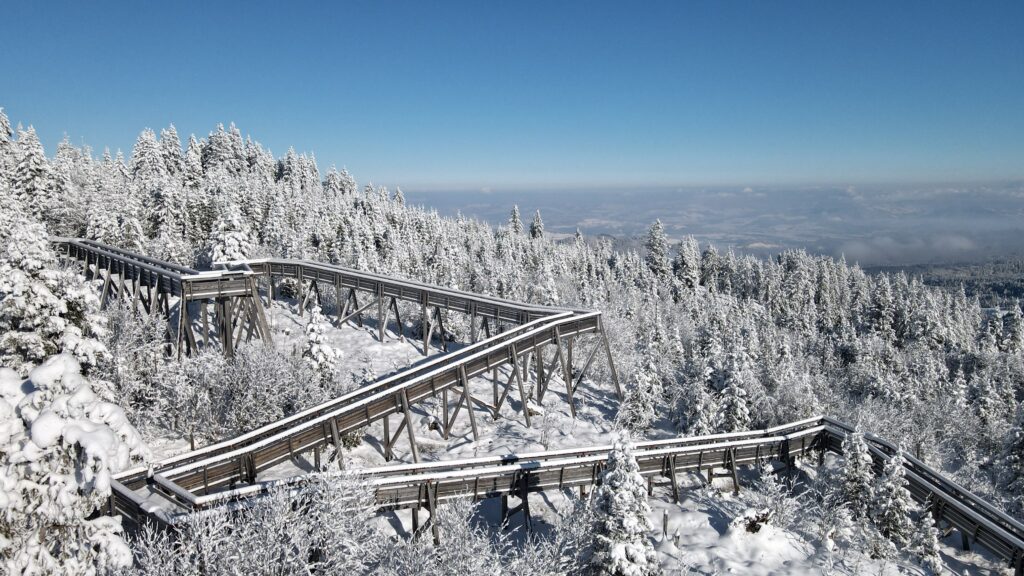 Aerial View from the Gantrisch during Winter